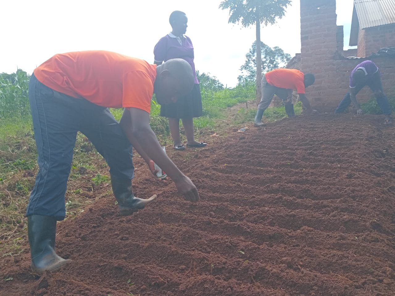 Kamuli Busuyi Saving And Credit Associtation Nusery Bed Managment And Operation 3