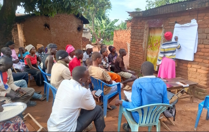 Maleku A Farmers Groups By Kisakye Faith
